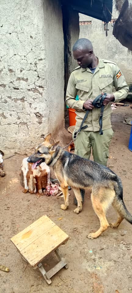 Police Dog Tracks Down Butcher over Goat Theft in Kyegegwa District ...